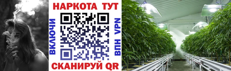 Купить наркоту Жердевка Марихуана Альфа ПВП Меф мяу мяу гидра рабочий сайт Cocaine