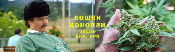 трава Аркадак