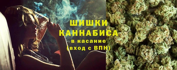 трава Аркадак