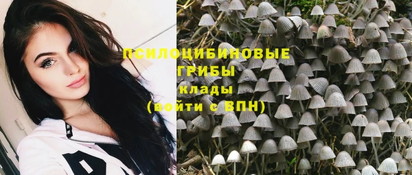 трава Аркадак